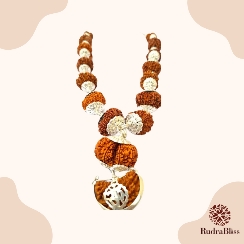 Sarva Siddha Rudraksha Mala 1-14 Mukhi (Nepal Beads)