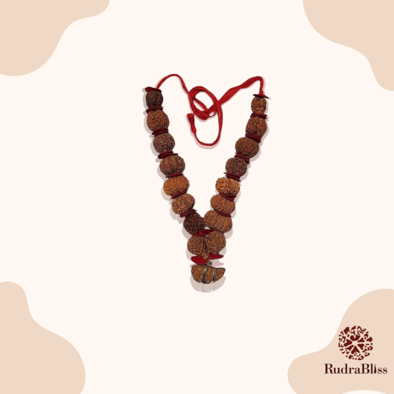 Sarva Siddha Mala With 1 to 14 Rudraksha