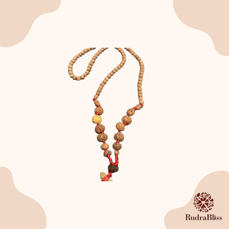13-15mm Indonesia 1-14 Mukhi Rudraksha Mala